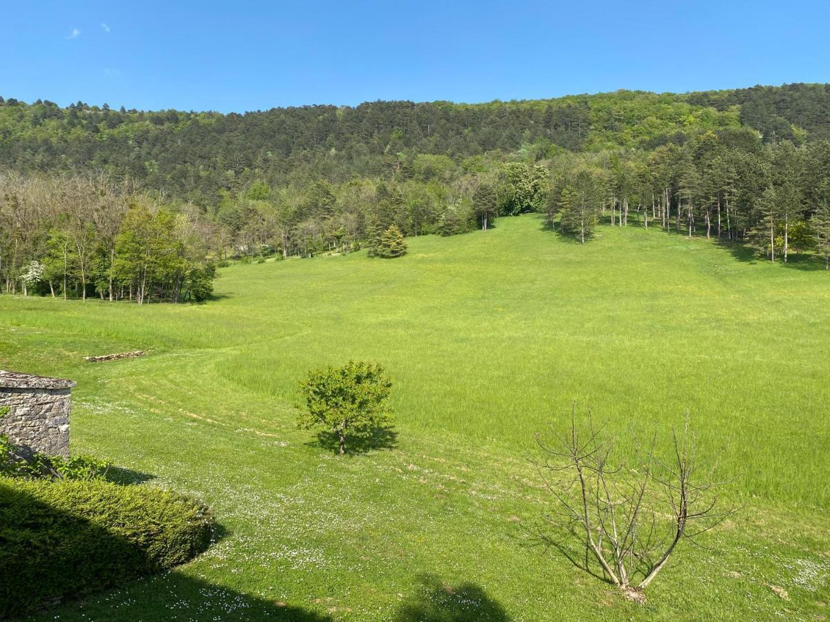 Clos De Mont July, Architecture Xviiie Au Coeur De La Nature Ceyzeriat 외부 사진