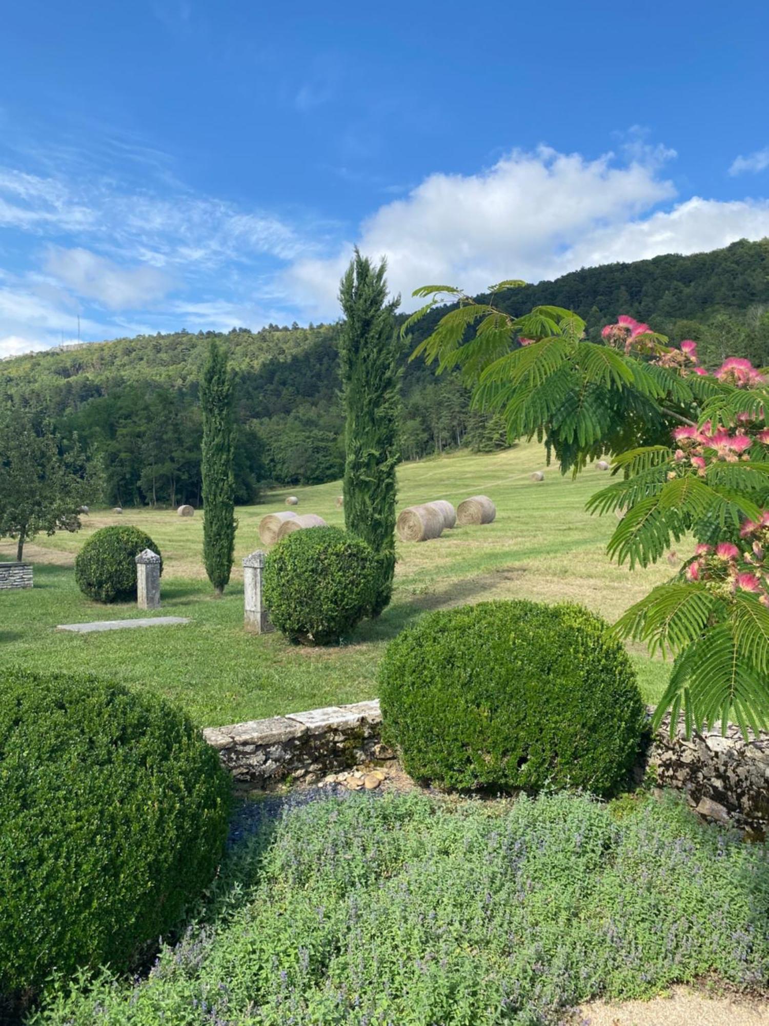 Clos De Mont July, Architecture Xviiie Au Coeur De La Nature Ceyzeriat 외부 사진